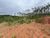 Fazenda-Sítio-Chácara, 9 hectares - Foto 4