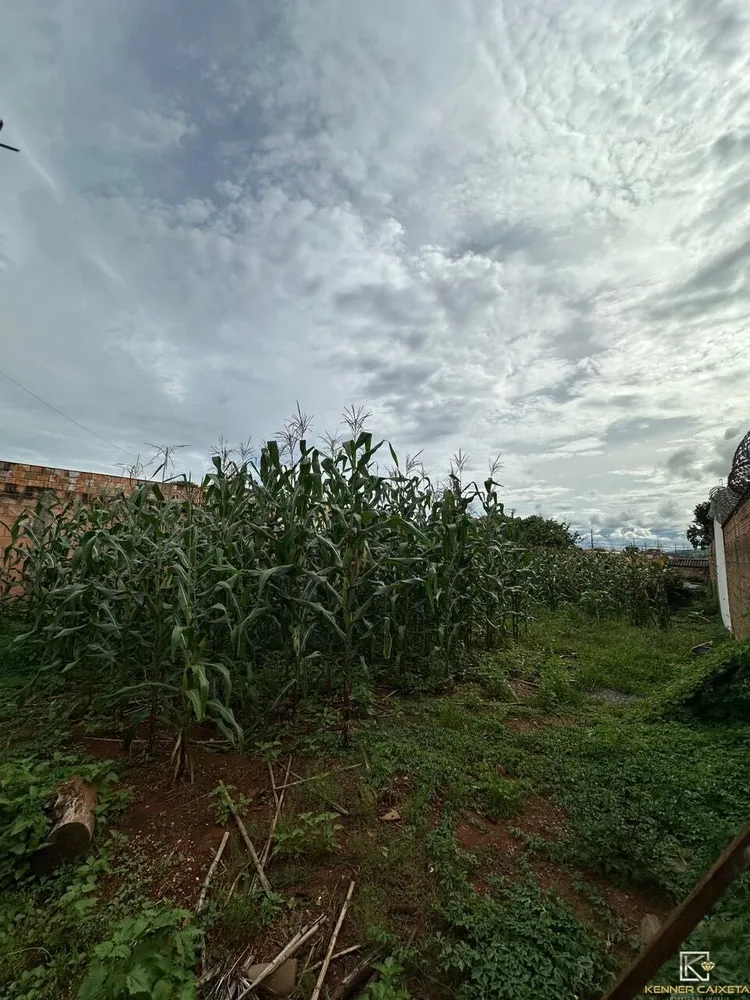 Terreno, 393 m² - Foto 4