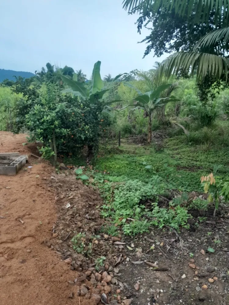 Terreno - Foto 4