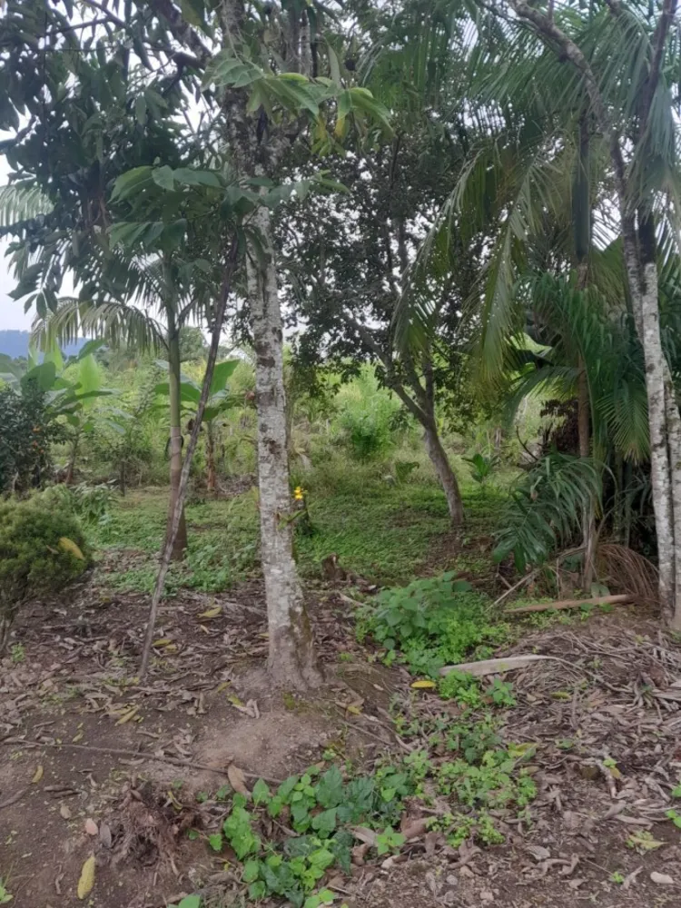 Terreno - Foto 3