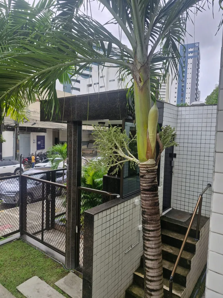 Apartamento, 3 quartos, 125 m² - Foto 4