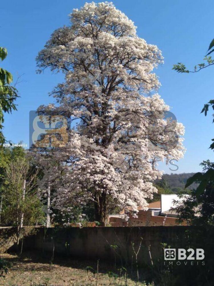 Casa à venda com 2 quartos, 2000M2 - Foto 3