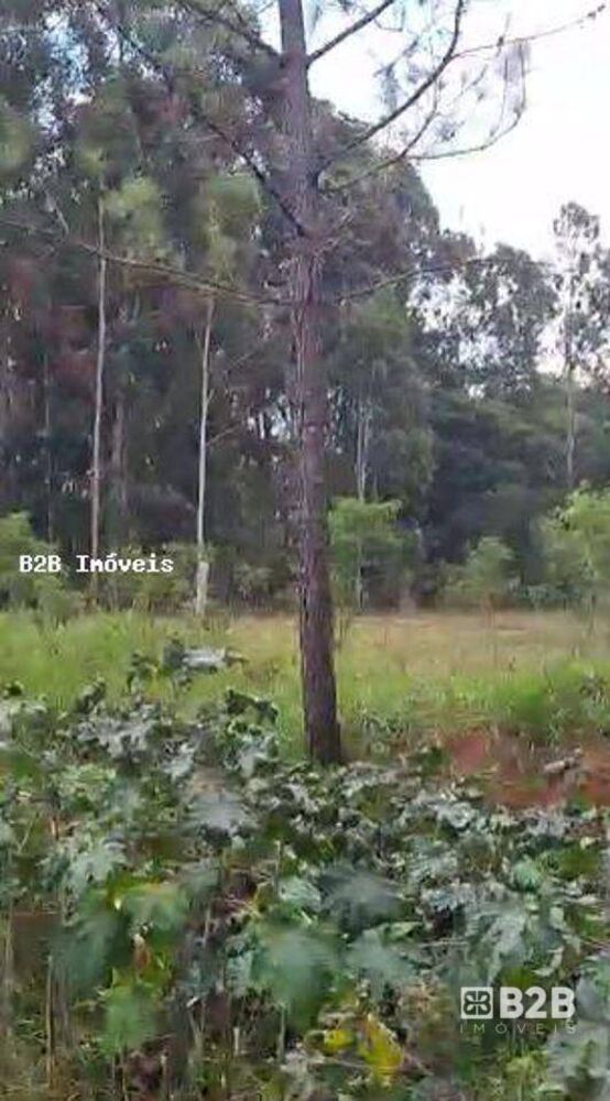 Terreno, 2738 m² - Foto 2