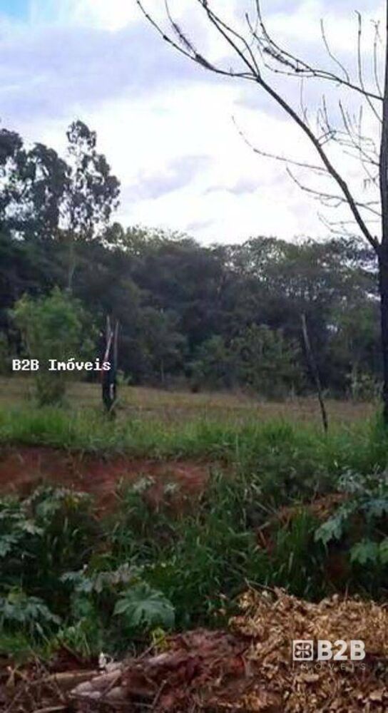 Terreno, 2738 m² - Foto 3