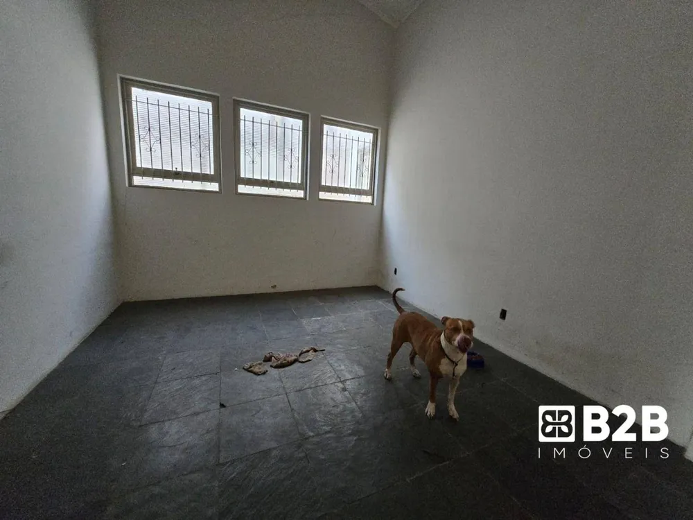 Casa, 5 quartos, 370 m² - Foto 3