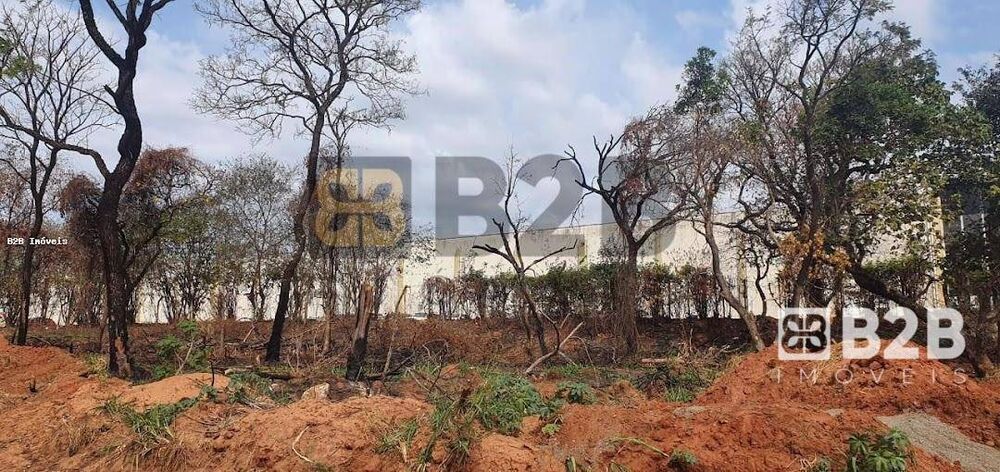 Terreno, 1227 m² - Foto 2