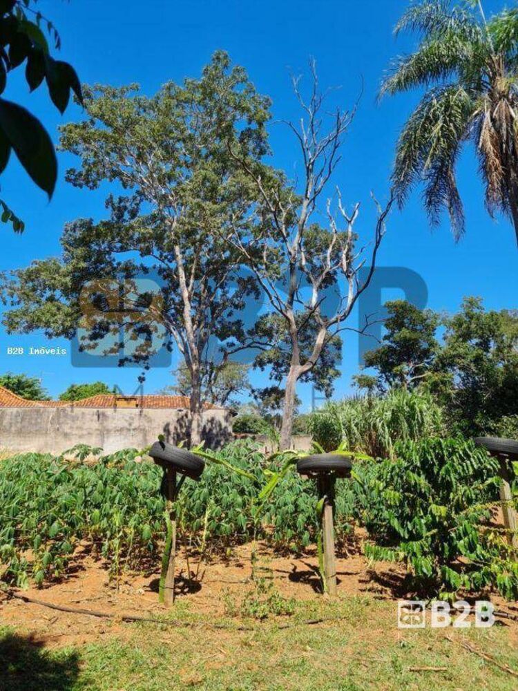 Chácara, 5024 m² - Foto 4