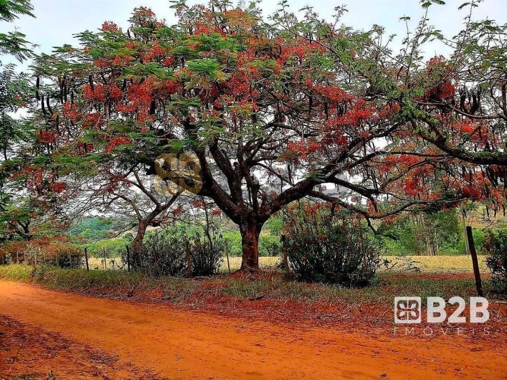 Chácara, 12 quartos, 1 hectares - Foto 14
