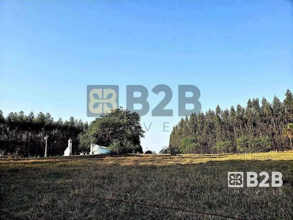 Chácara, 12 quartos, 1 hectares - Foto 16