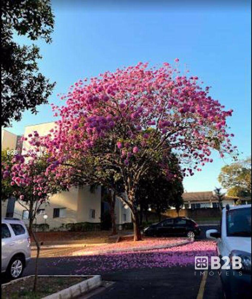 Apartamento, 3 quartos, 67 m² - Foto 16