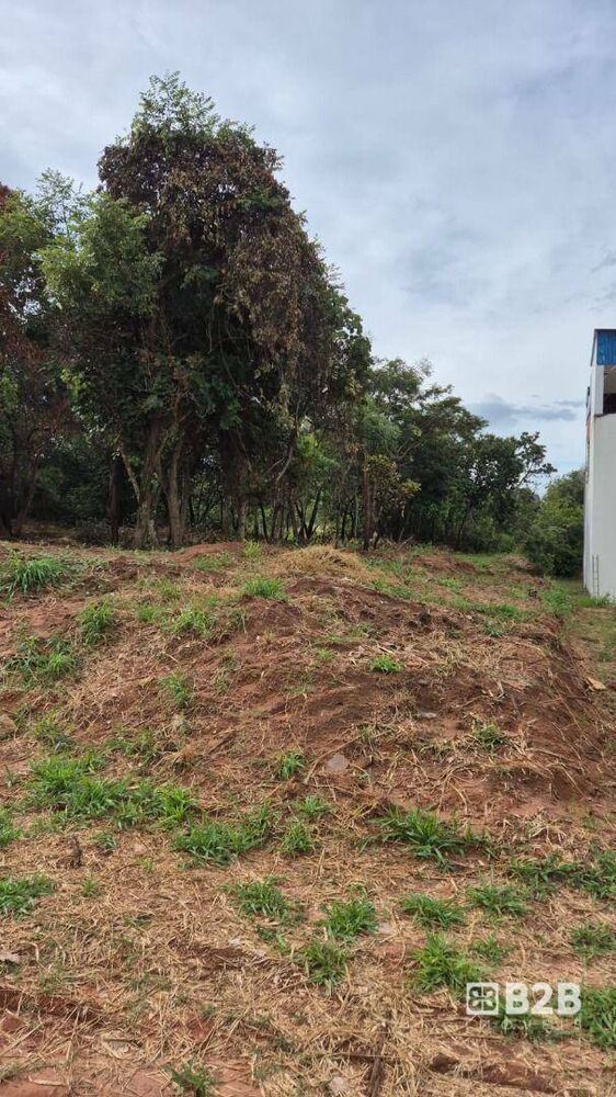 Terreno, 200 m² - Foto 1