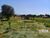 Terreno, 1280 m² - Foto 1