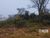 Terreno, 600 m² - Foto 2