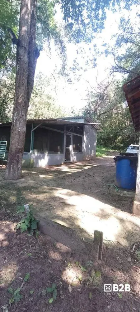 Sítio, 4 hectares - Foto 2