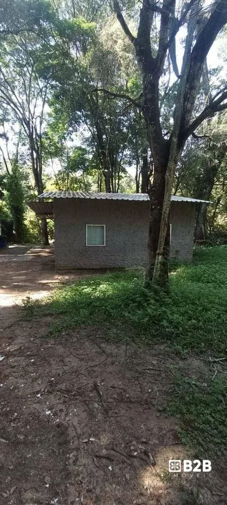 Sítio, 4 hectares - Foto 3