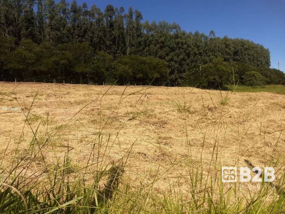 Chácara à venda, 20000M2 - Foto 3