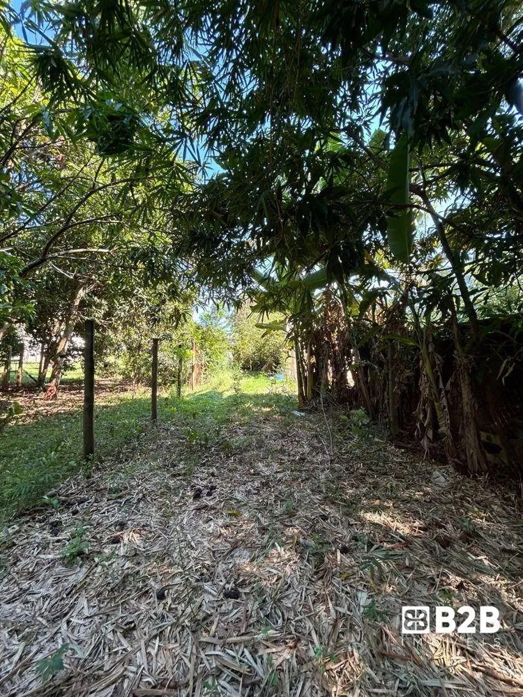 Chácara, 4 quartos - Foto 6