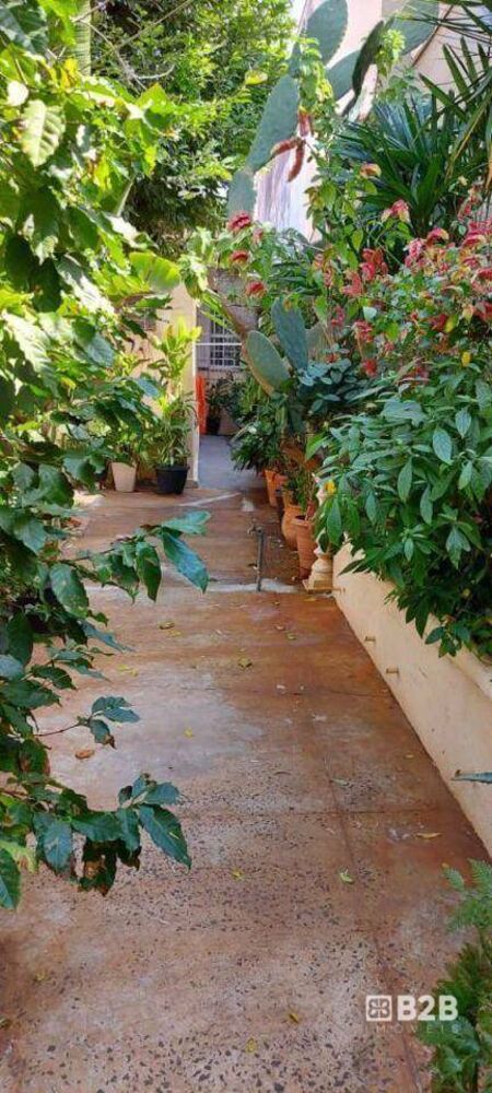 Casa à venda com 3 quartos, 270m² - Foto 3