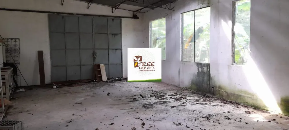 Chácara, 5 quartos, 5160 m² - Foto 5