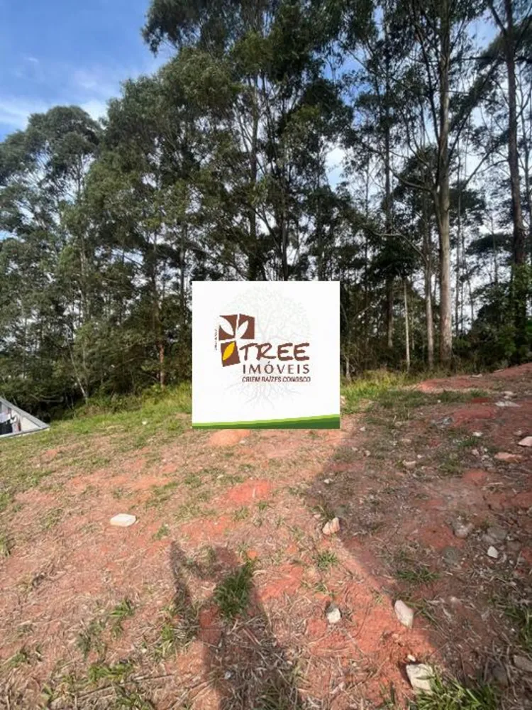 Terreno, 304 m² - Foto 4