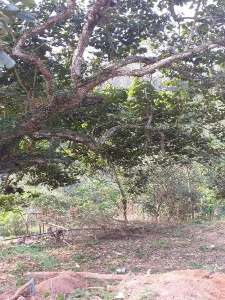 Chácara, 1 quarto, 7646 m² - Foto 4