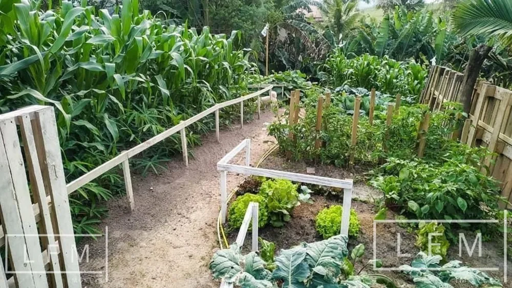Sítio, 3 quartos, 100000000 hectares - Foto 4
