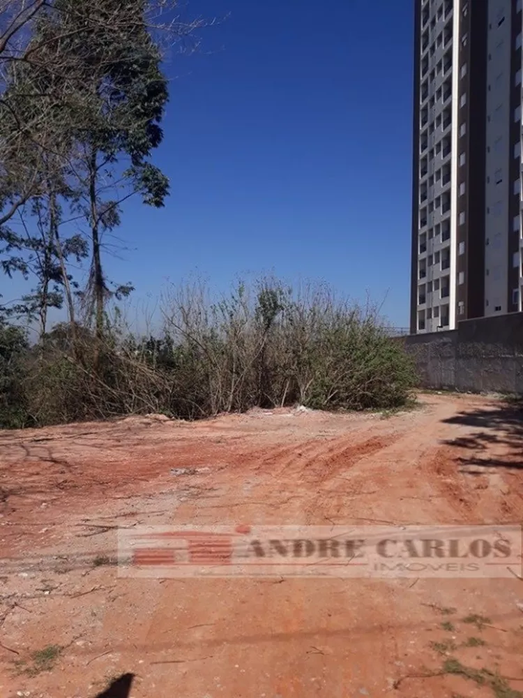 Terreno, 3650 m² - Foto 1
