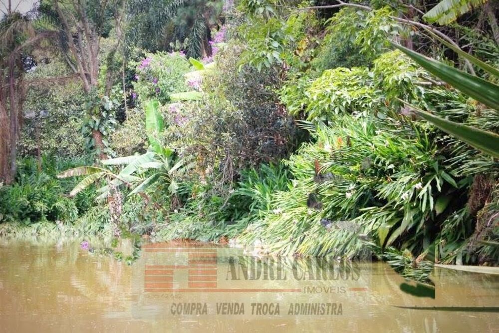 Terreno, 2000 m² - Foto 3
