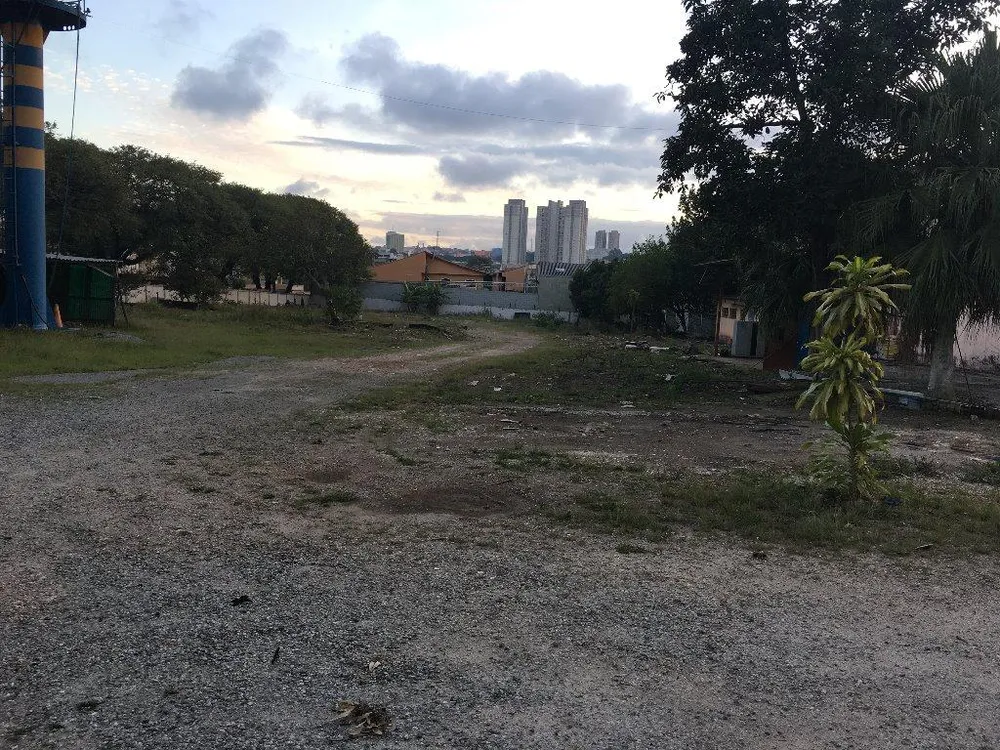Terreno, 5300 m² - Foto 2