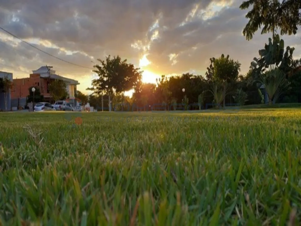 Terreno, 250 m² - Foto 4