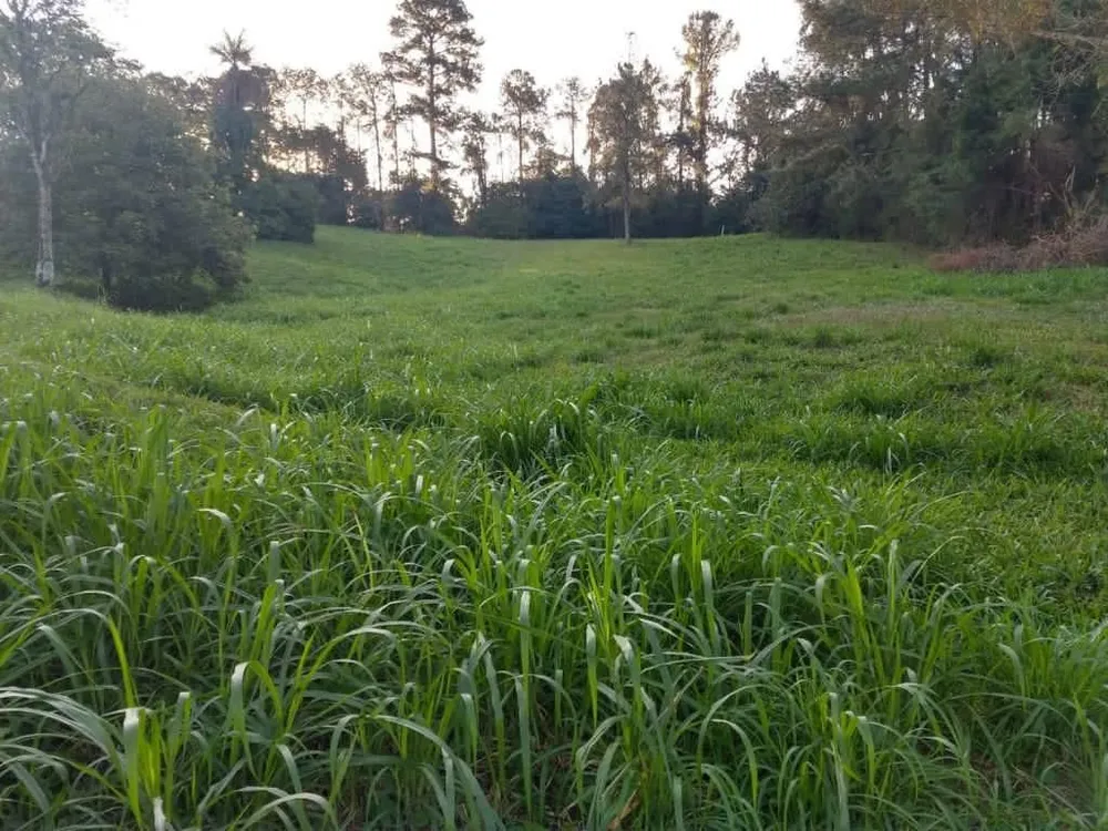 Terreno, 5350 m² - Foto 1