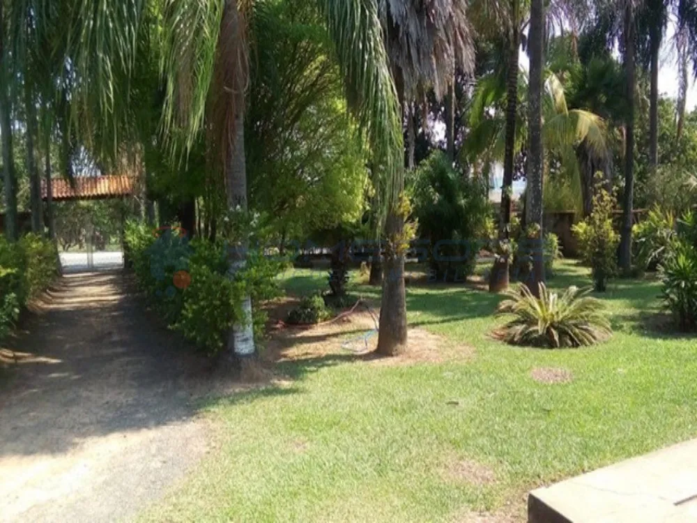 Chácara, 2 quartos, 2100 m² - Foto 4