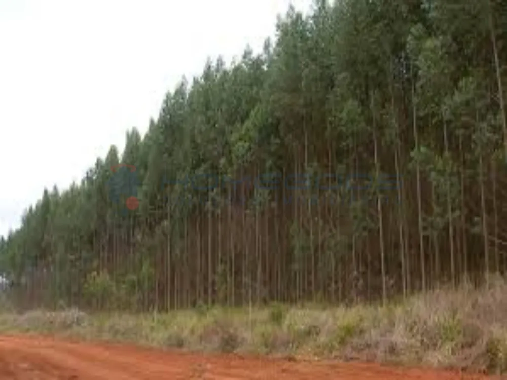 Fazenda, 1 quarto - Foto 2
