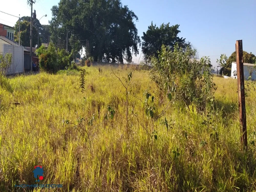Terreno, 21000 m² - Foto 4