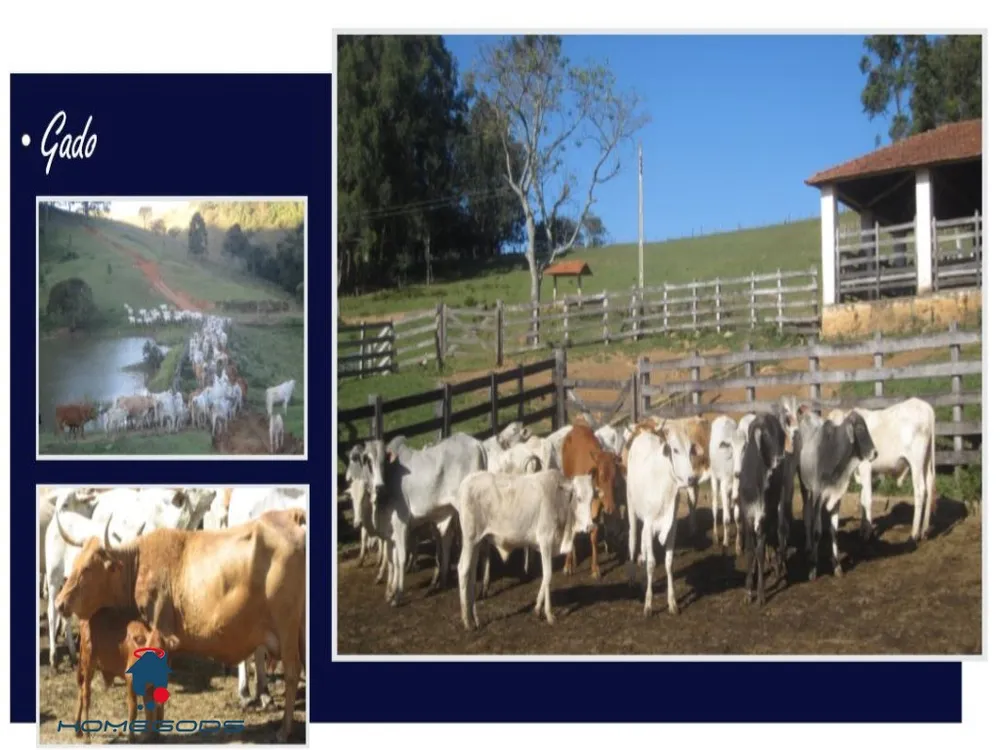 Fazenda, 12 quartos - Foto 2