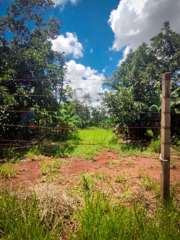 Terreno - Foto 4