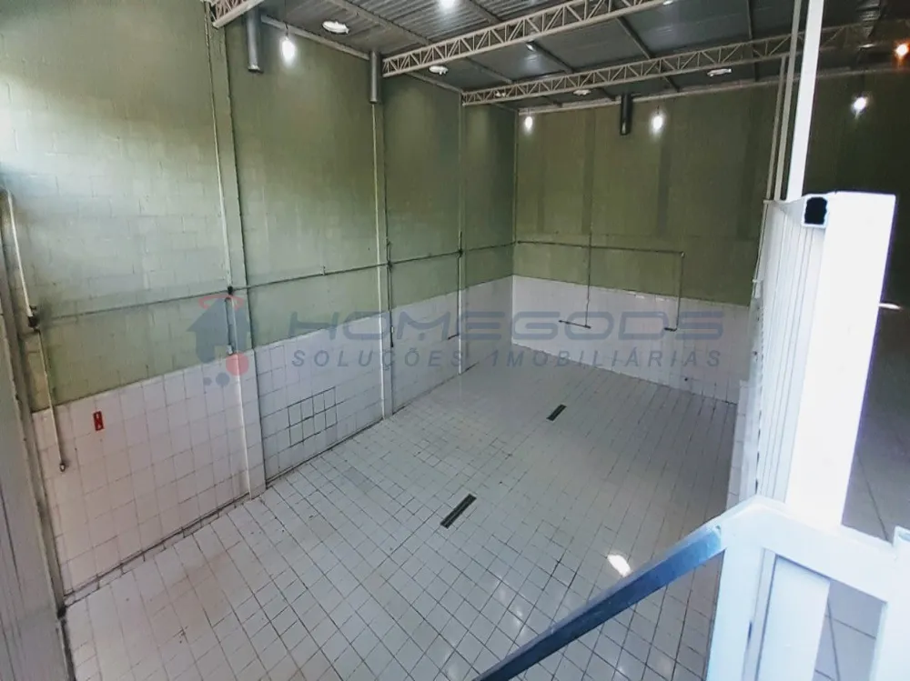 Depósito-Galpão, 250 m² - Foto 4