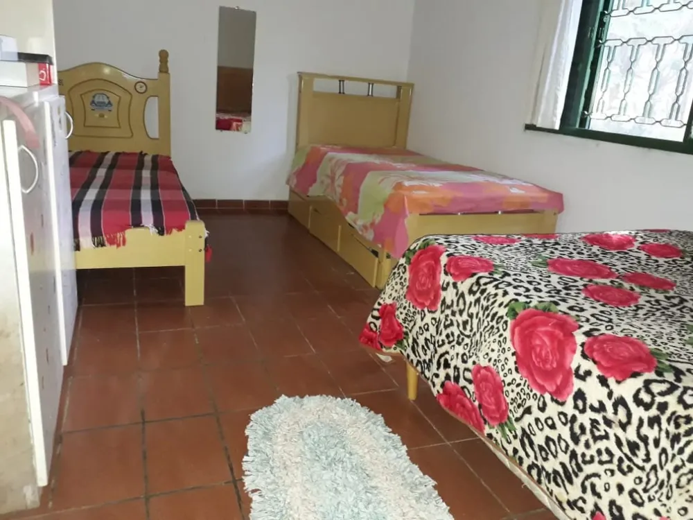 Chácara, 1 quarto, 3200 m² - Foto 2