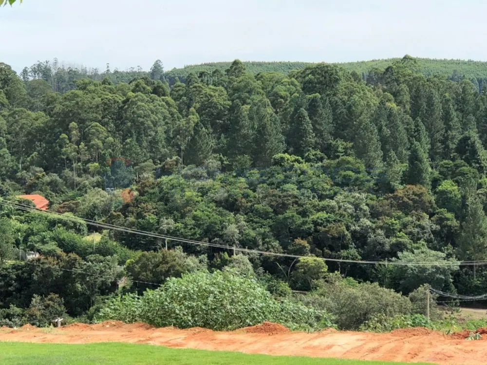 Terreno, 1200 m² - Foto 3