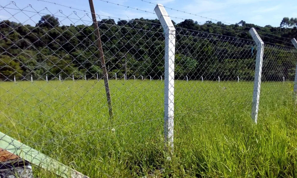 Terreno - Foto 3