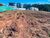 Terreno, 313 m² - Foto 4