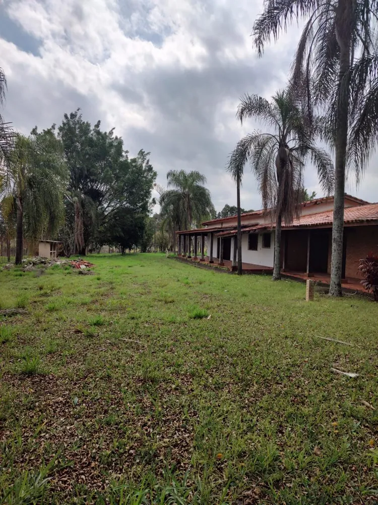 Terreno, 5 hectares - Foto 7