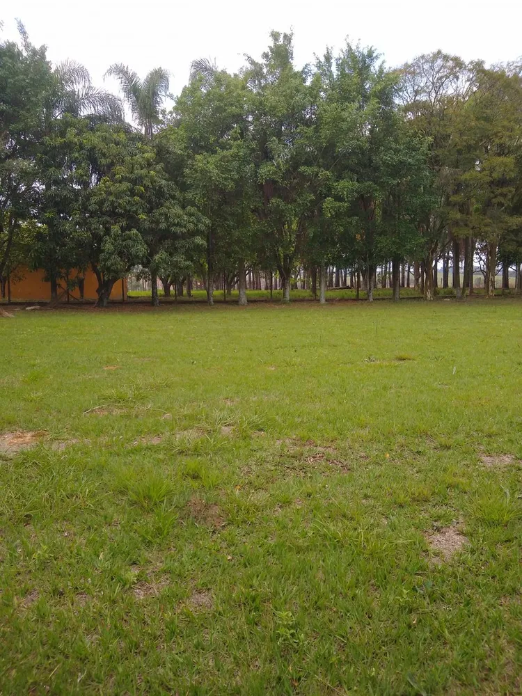 Terreno, 5 hectares - Foto 1