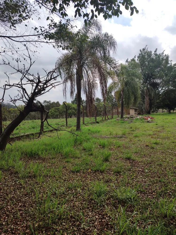 Terreno, 5 hectares - Foto 6