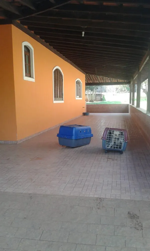 Sítio - Foto 4