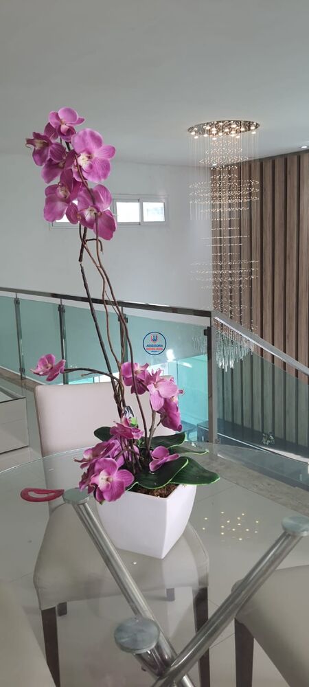 Casa, 5 quartos, 430 m² - Foto 24