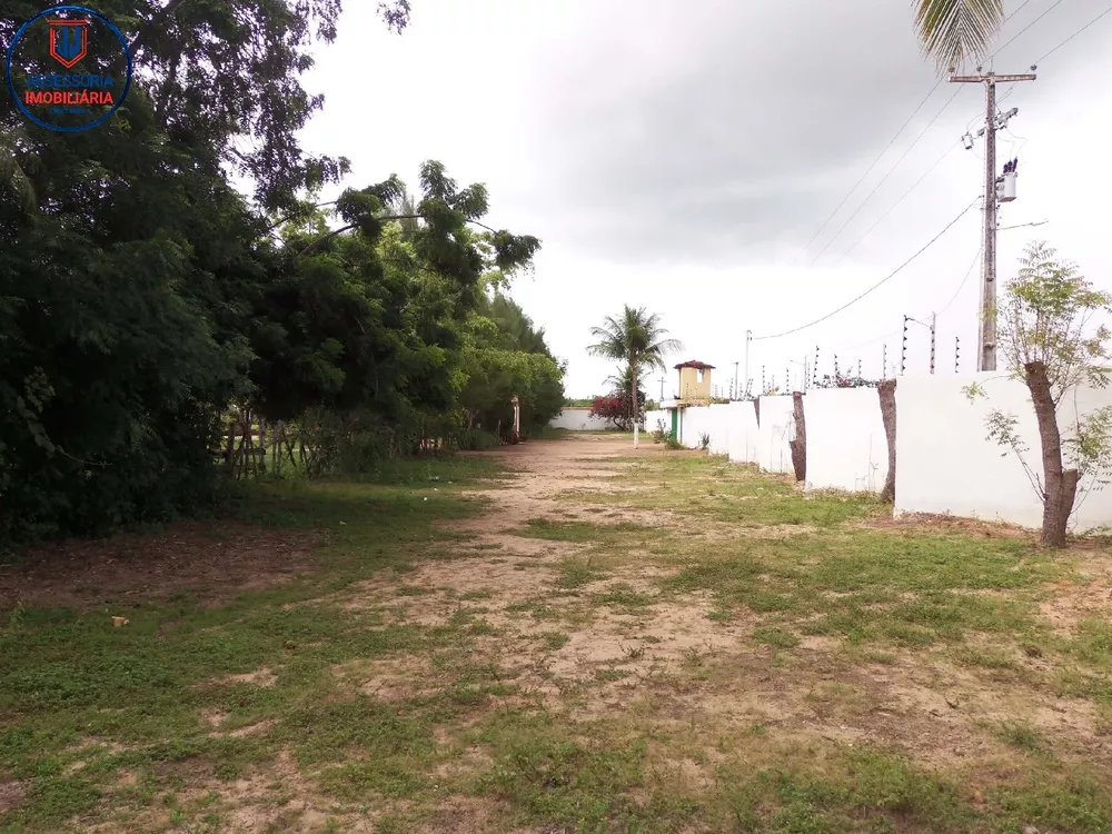 Chácara, 3 quartos, 1 hectares - Foto 4