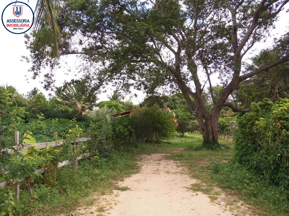 Chácara, 3 quartos, 1 hectares - Foto 21