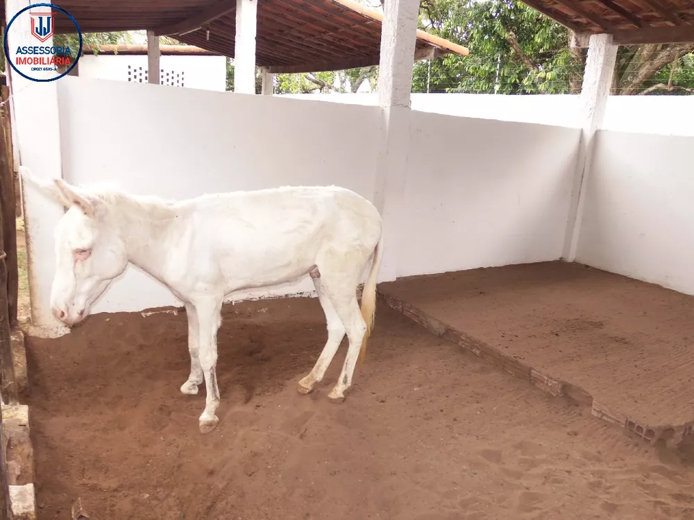 Chácara, 3 quartos, 1 hectares - Foto 31