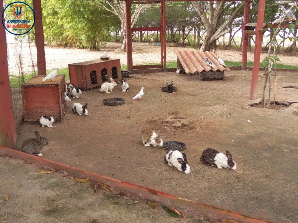 Chácara, 3 quartos, 1 hectares - Foto 24